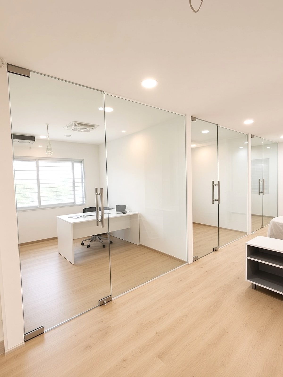 Glass partition